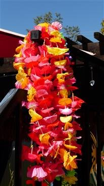 Leis for guests